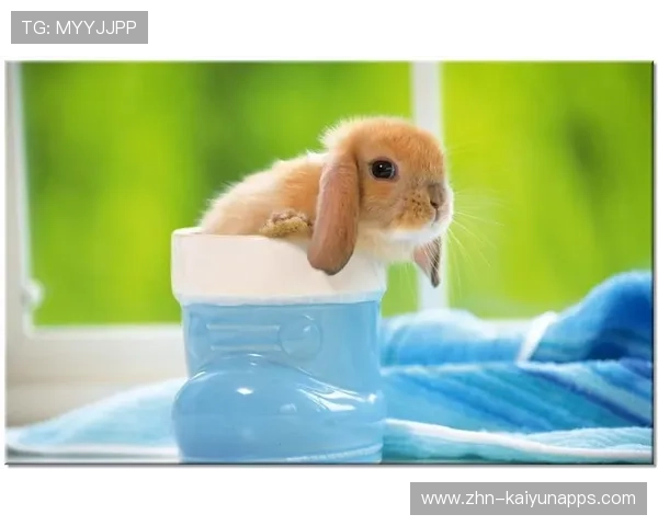 ++¢½-¼È-i¬¢¦ú¦ð-Ê+¦·-Ï++Ȧ¦++¬-¬+³ð-¦Þ